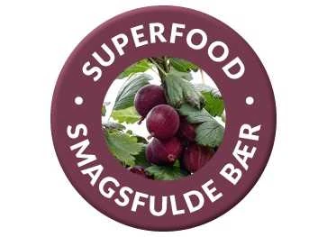 Stikkelsbær 'Hinnomaeki Rød' 3 Stikkelsbær 'Hinnomaeki Rød'