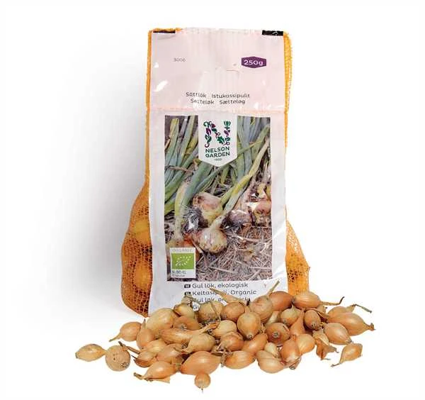 Økologisk Gul Sætteløg 3 Økologisk Gul Sætteløg