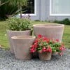 Mona Terracotta Krukke -Planter Salgsbutik 1615920master