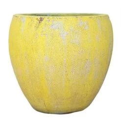 Yellow Antik Stentøj Krukke