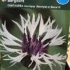 Bjerg-knopurt 'Amethyst In Snow'® -Planter Salgsbutik 4732