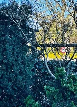 Søjletaks 30-40 Cm 3 Søjletaks 30-40 Cm