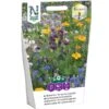 Blomster Til Nytteinsekter -Planter Salgsbutik 61191