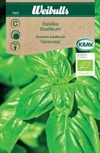 Basilikum, økologisk 3 Basilikum, økologisk