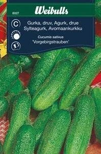 Agurk, Friland 3 Agurk, Friland