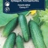 Agurk, Drue 1 Agurk, Drue -Planter Salgsbutik 8042