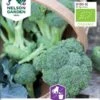 Broccoli øko -Planter Salgsbutik 85079