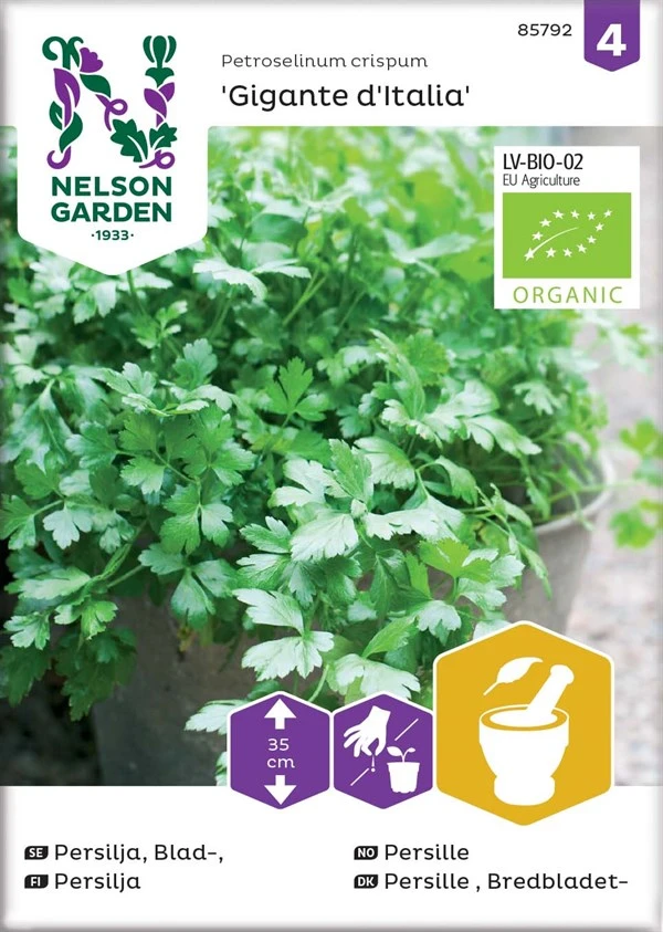 Bredbladet Persille 3 Bredbladet Persille