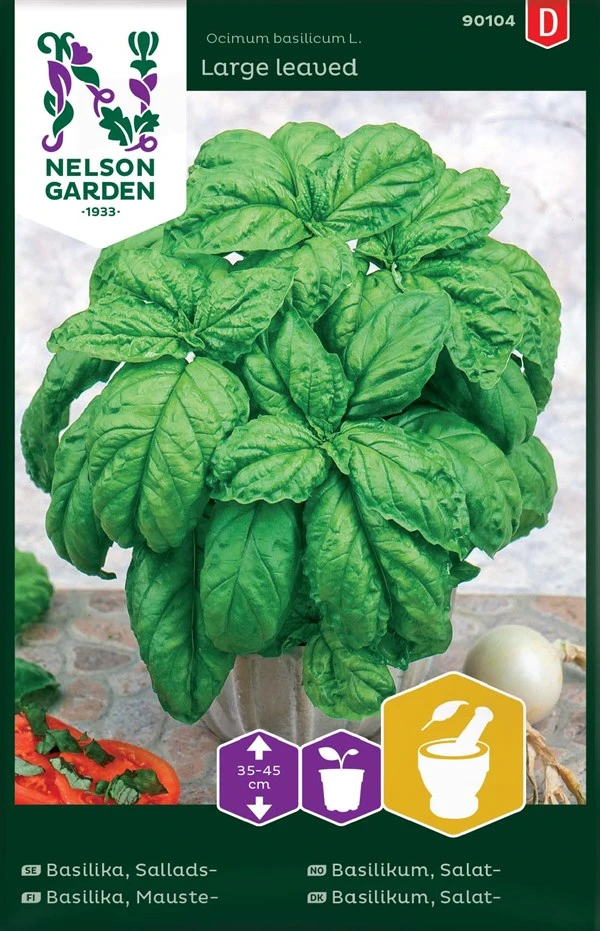 Basilikum, Salat 3 Basilikum, Salat