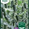 Agurk 1 Agurk -Planter Salgsbutik 90395