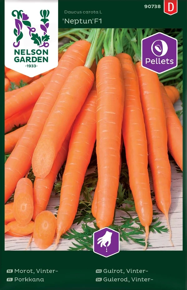 Vintergulerod 3 Vintergulerod