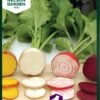 Rødbede, Hullahoop Mix 1 Rødbede, Hullahoop Mix -Planter Salgsbutik 91182