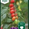 Tomat, Kirsebær-, Vespolino F1 -Planter Salgsbutik 91715