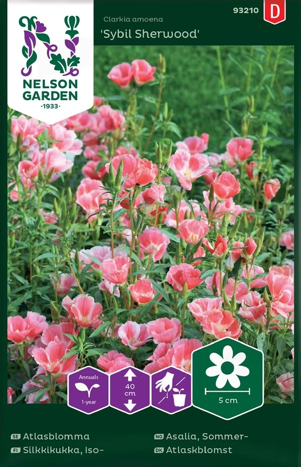 Atlaskblomst 3 Atlaskblomst