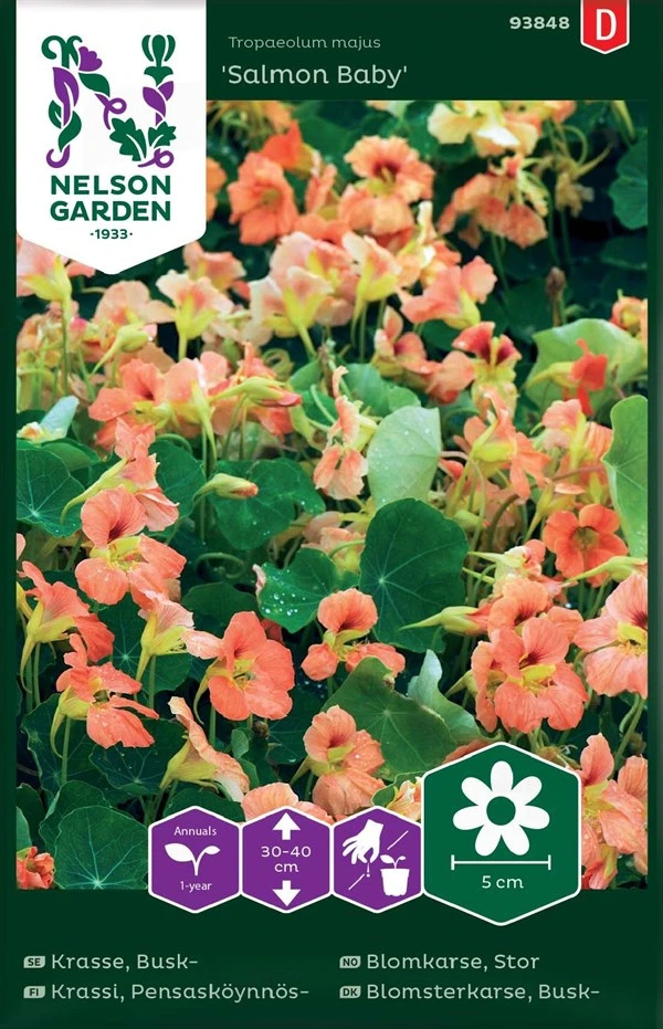 Buskblomsterkarse, Salmon Baby 3 Buskblomsterkarse, Salmon Baby