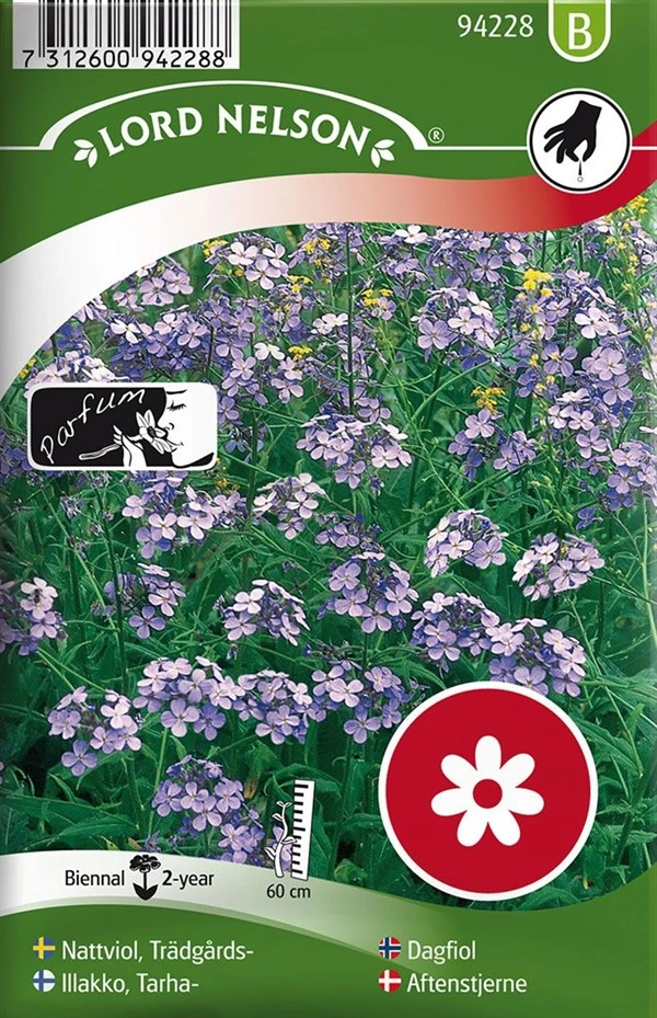 Almindelig Aftenstjerne 3 Almindelig Aftenstjerne