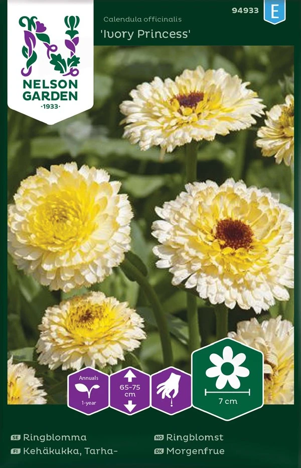 Havemorgenfrue 3 Havemorgenfrue