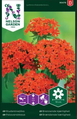 Brændende Kærlighed