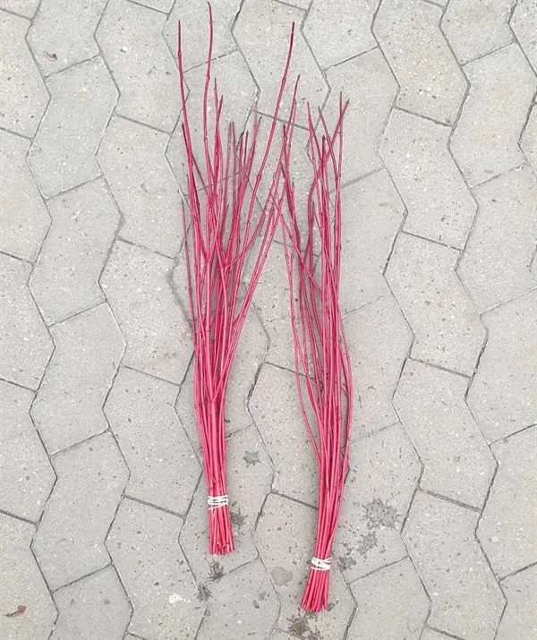 Kornelgrene Røde 3 Kornelgrene Røde