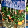 Middelhavsjord 8 Liter -Planter Salgsbutik citrusjord gug20planteskole webshop