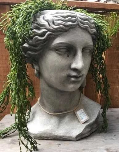 Skjuler Ansigt Kvinde 3 Skjuler Ansigt Kvinde