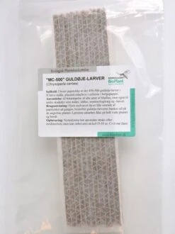 Mod Bladlus I Vinduet