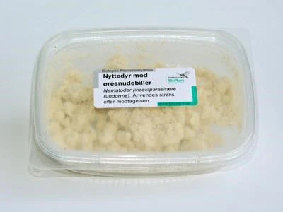 Mod øresnudebiller 3 Mod øresnudebiller