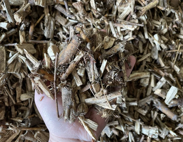 Pileflis - økologisk 2 Pileflis - økologisk