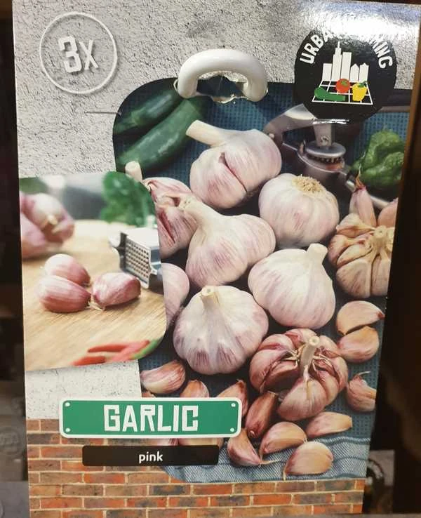 Sættehvidløg Pink 3 Sættehvidløg Pink