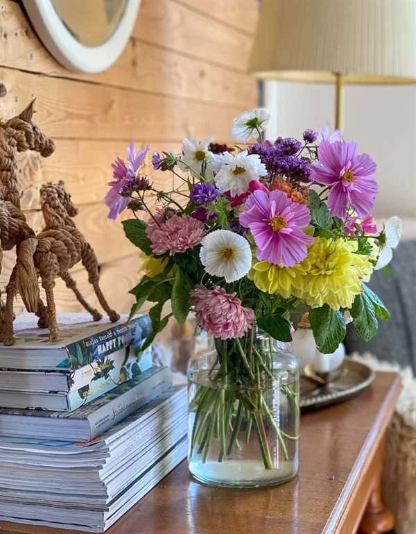 Frøkit Til Tivoli Buket 3 Frøkit Til Tivoli Buket